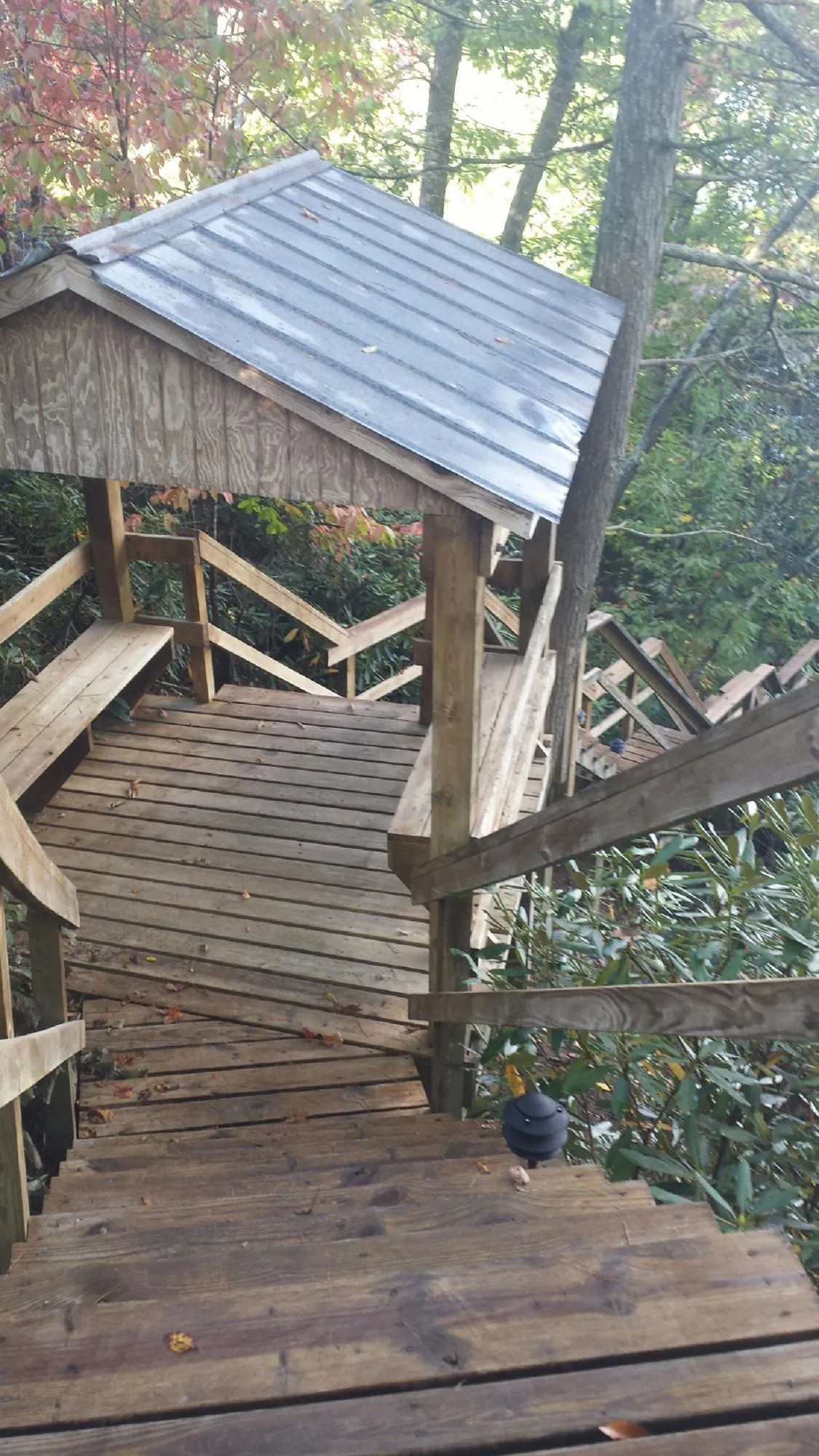 Metal roofed shelter over wooden steps on a wooded walkway — Skylight Repair & Installation work by our crew in Zelienople